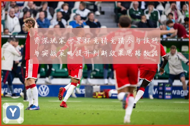资深玩家世界杯竞猜竞猜参与技巧与实战策略提升判断效果思路数据研判
