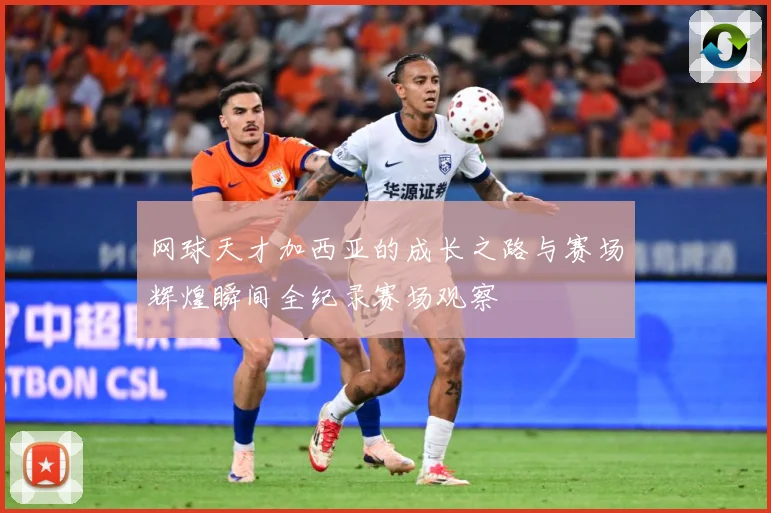 网球天才加西亚的成长之路与赛场辉煌瞬间全纪录赛场观察