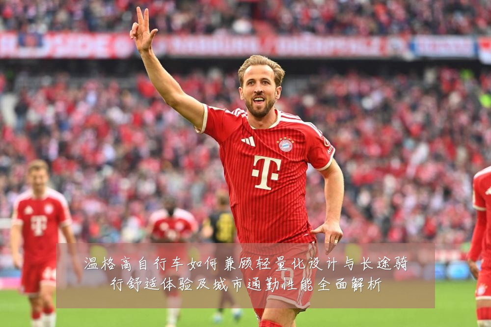 温格高自行车如何兼顾轻量化设计与长途骑行舒适体验及城市通勤性能全面解析