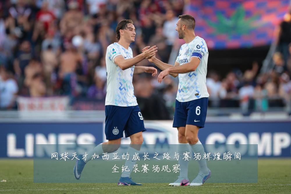 网球天才加西亚的成长之路与赛场辉煌瞬间全纪录赛场观察
