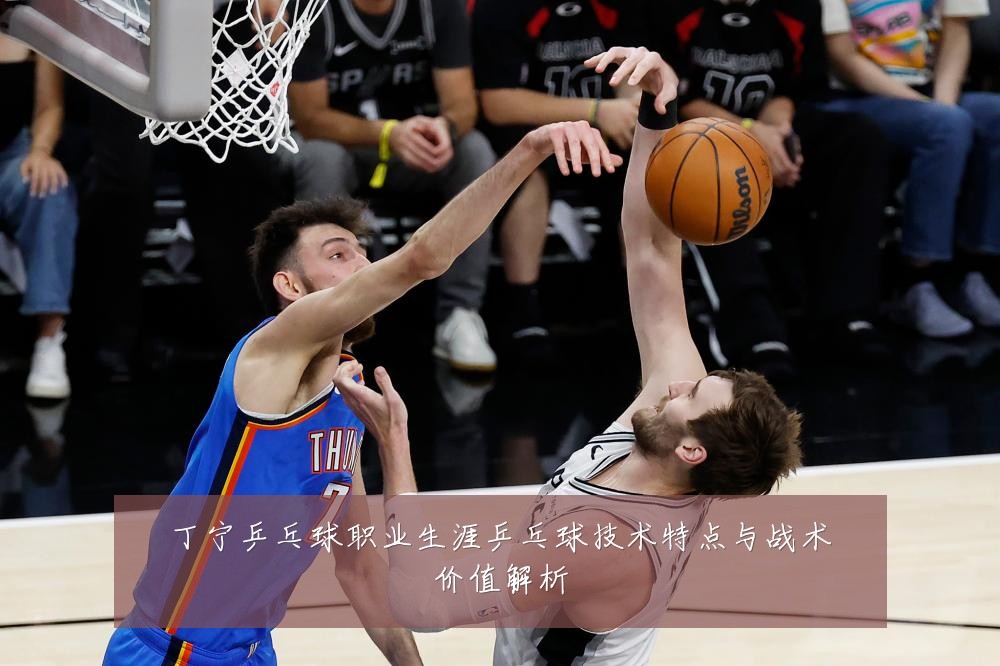 丁宁乒乓球职业生涯乒乓球技术特点与战术价值解析