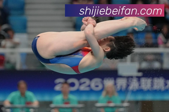 丁宁乒乓球职业生涯乒乓球技术特点与战术价值解析 丁宁乒乓球职业生涯乒乓球技术特点与战术价值解析
