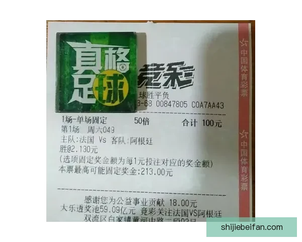 世界杯竞猜网站全攻略新手入门投注技巧与赛事预测深度解析指南