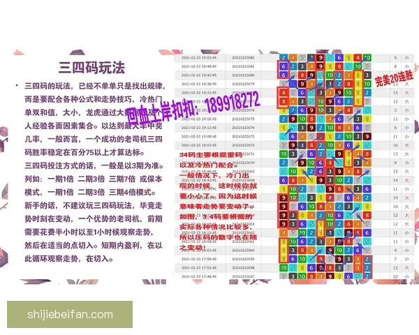 精准分析赛事走势，提升体育竞猜投注中奖率指南