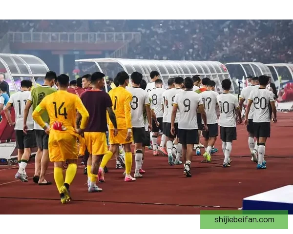 2026世界杯精彩赛事竞猜全程直播与独家分析解读